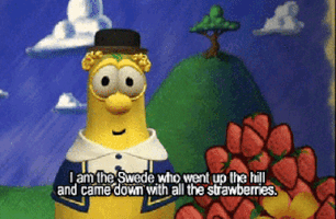 swedish swede GIF
