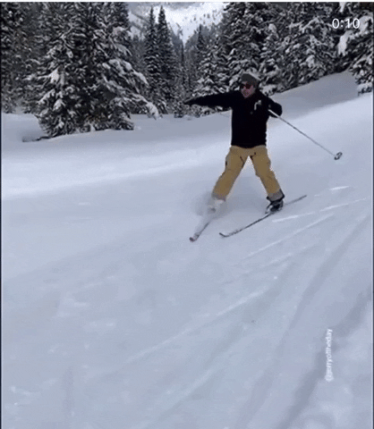 Ski-crash GIFs - Get the best GIF on GIPHY