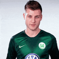 valentines day love GIF by VfL Wolfsburg