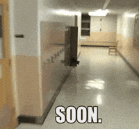 Soony GIFs - Get the best GIF on GIPHY
