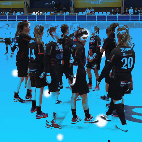 Florbalová škola Jihlava GIF