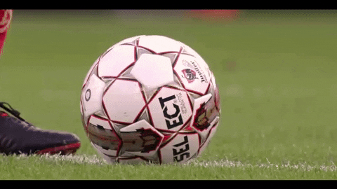 Football Jpl GIF by Standard de Liège - Find & Share on GIPHY