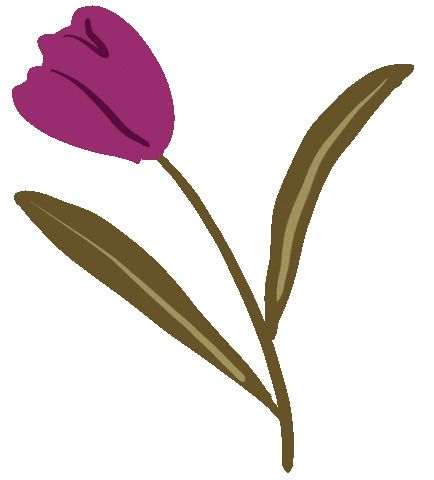 Louisa Tulip Sticker by Louisa Taylor Studio