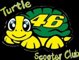 Turtles2 GIF
