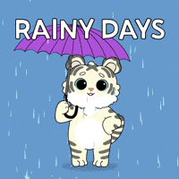 Bitcoin Rain GIF by Ordinary Frends