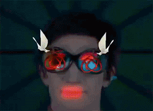 authorityoffice animated GIF