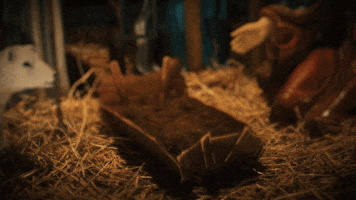 Manger Baby Jesus GIF by The Leftovers HBO