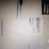 loop video GIF by Ryan Seslow