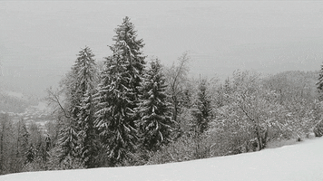 cold snow GIF by Jerology