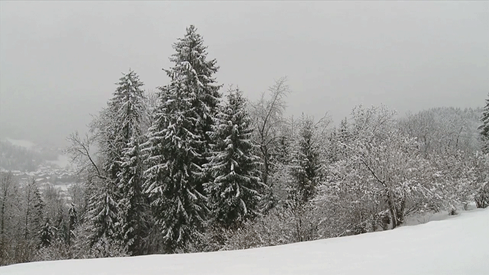 Cold Snow GIF by Jerology