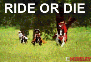 Ride Or Die Dog GIF by FirstAndMonday
