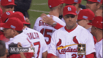 St Louis Cardinals Stl GIF by MLB