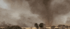 tornado GIF by Jerology
