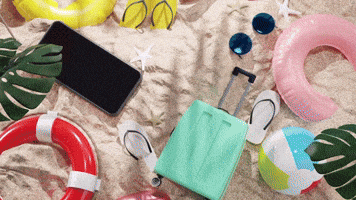 La Guajira Palomino GIF by Mysteries Book Festival