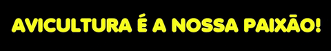 Avicultura Blog GIF