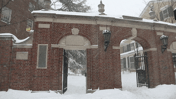 Snow Blizzard GIF by Harvard University