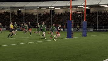 Sport Reaction GIF by Edinburgh Rugby