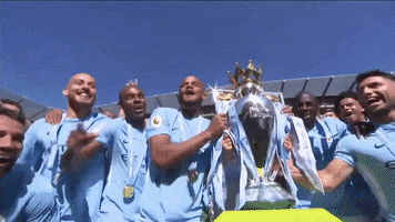 Celebrate Premier League GIF by Manchester City