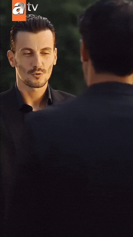 Bertanasllani GIF