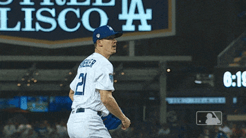 Excited Los Angeles Dodgers GIF by MLB
