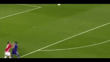 mmmdovilkin  GIF