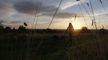 Worcestershire GIF