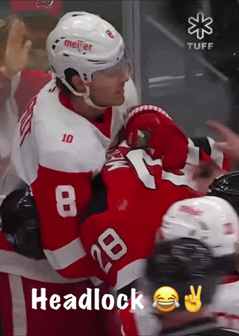 Red Wings Hockey GIF