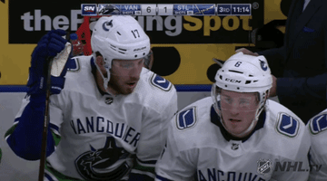 ice hockey fist bump GIF by NHL
