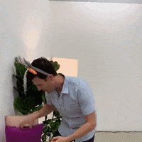 easter eggs race GIF by evite