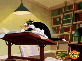 Cat studying for a test.