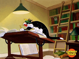 Cat Working GIF by Looney Tunes