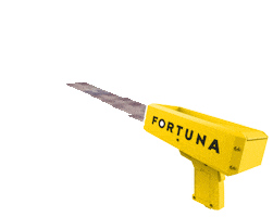 efortuna Sticker