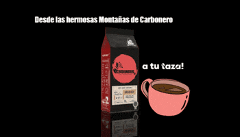 Villasofia Carboneros GIF