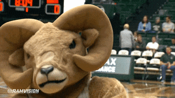 200.gif?cid=fc005b08883371ff669a842fe187738ad93e6fda2b683638&rid=200.gif&ct=g