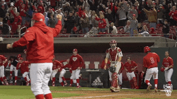 nc state bench GIF by NC State Athletics