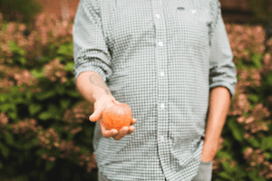 Hard Cider Fall GIF