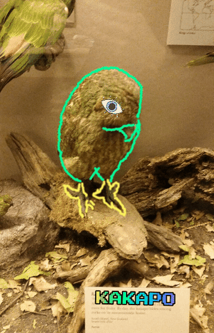 Animated GIF