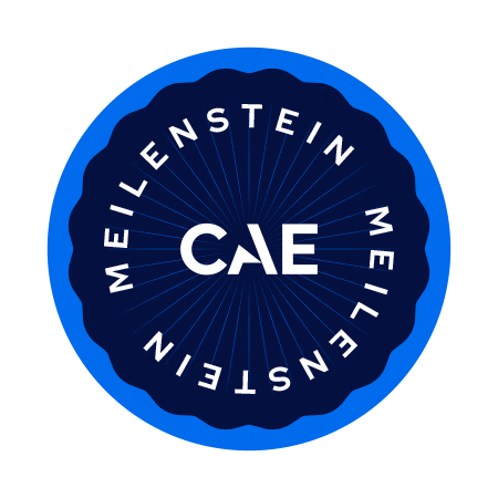 German Deutsch Sticker by CAE