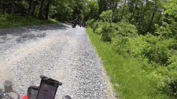 Racing Bike GIF by Gotham Ducati Desmo Owners Club