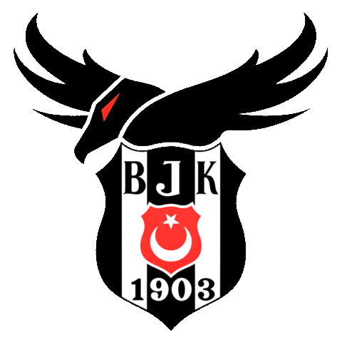 Engin Yılmaz Sticker