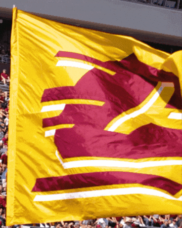 Central Michigan University Cmu GIF by Central Michigan Football