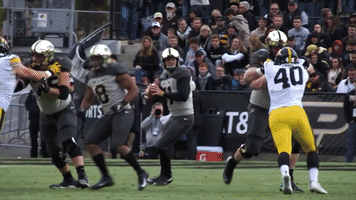 Jeffbrohm Boilerfootball GIF by Purdue Sports