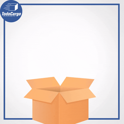 Miami Venezuela GIF by Todo Cargo Inc.