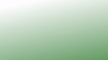 200.gif?cid=fc005b081d96712394b54c12021a0fb8b3d6ec727163f85c&rid=200.gif&ct=g