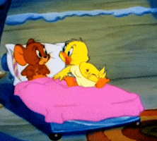 Duck Duckling GIF