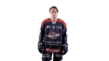 Ducs2026 Sticker by Les Ducs d'Angers