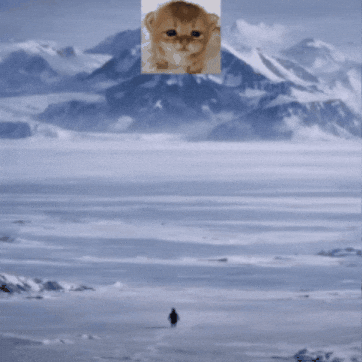 Cat Snow GIF