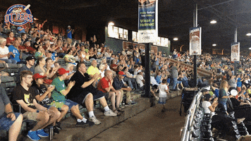 EvansvilleOtters happy fun excited baseball GIF