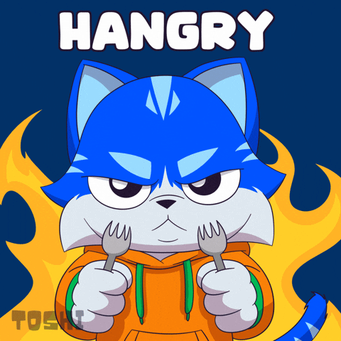 Angry Cat GIF by Toshithecat