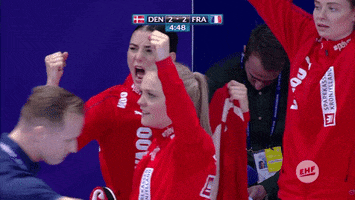 france happiness GIF by EHF